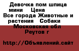 Девочка пом шпица мини  › Цена ­ 30 000 - Все города Животные и растения » Собаки   . Московская обл.,Реутов г.